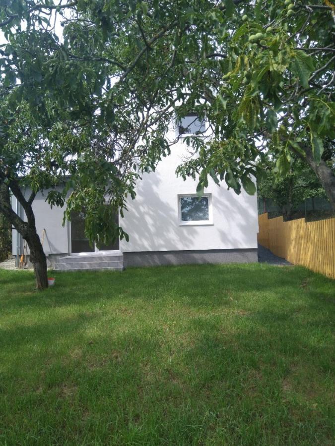 Dum V Brne Apartment Brno Ngoại thất bức ảnh
